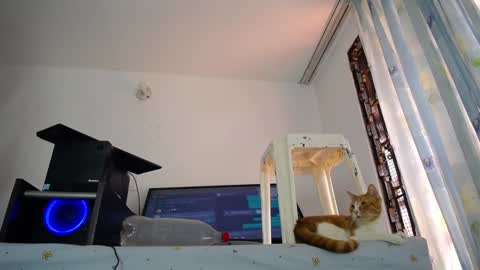 Eolicasextwo online show from 10, 12, 2024