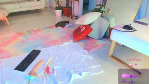 TINY  online show from 21, 12, 2025