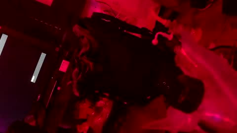 Snapshot of esc_del chatting on 2, 12, 2024 esc del online show from 2, 12, 2024