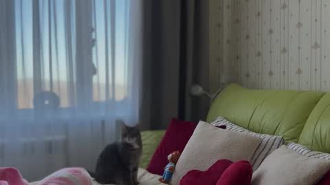 Estella online show from 3, 2, 2026