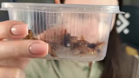 Snapshot of esterhernandes chatting on 21, 2, 2026 kelt0901 - my channel in telegra online show from 21, 2, 2026