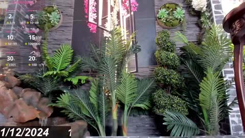 EVA COLUCCY online show from 12, 12, 2024