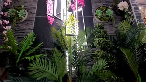 EVA COLUCCY online show from 7, 1, 2025