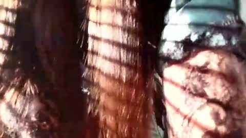 Evaa Depp online show from 22, 1, 2025