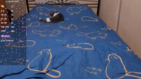 Snapshot of eva_zero chatting on 8, 2, 2026 Eva online show from 8, 2, 2026