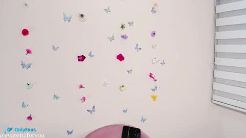 Eva online show from 4, 11, 2025