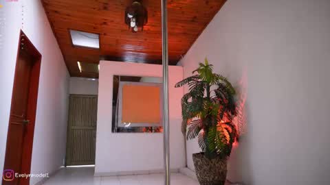 evelyn evelyn online show from 6, 3, 2026