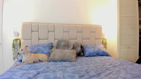 Snapshot of even_scoty chatting on 25, 10, 2025 even_scoty online show from 25, 10, 2025