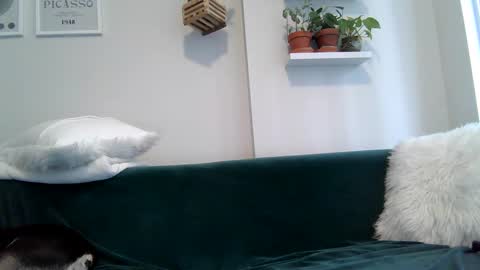 Snapshot of evillers1 chatting on 22, 9, 2025 Badblondebunny online show from 22, 9, 2025