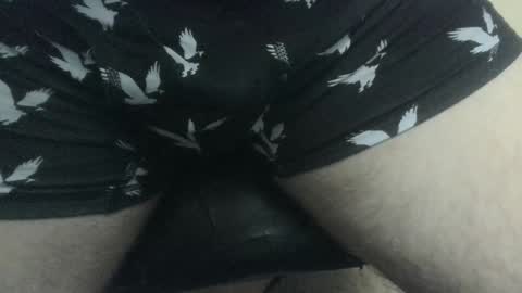 evolite_ online show from 27, 12, 2024