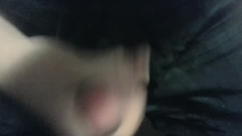 evolite_ online show from 14, 2, 2025