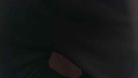 evolite_ online show from 17, 2, 2025