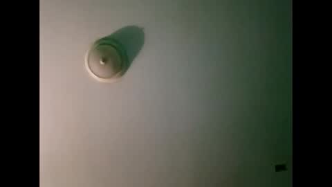 experttreecompany online show from 21, 3, 2026