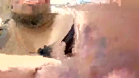 eyyoboobo0 online show from 19, 3, 2026