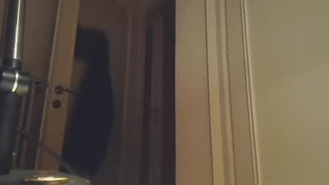 EZCODA online show from 2, 1, 2025