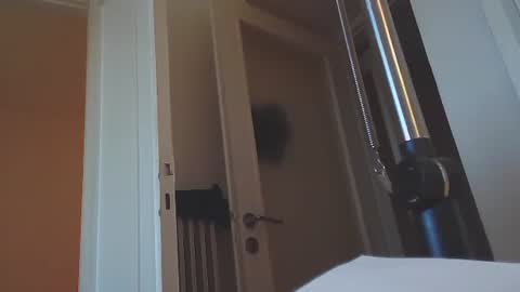 EZCODA online show from 14, 1, 2025