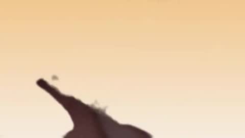 fabinou32 online show from 22, 11, 2025