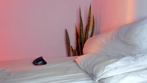 Snapshot of fabrizio_amery chatting on 9, 11, 2025 - A N D E R online show from 9, 11, 2025