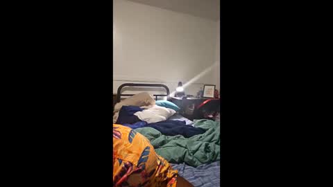 fabulosofabolous online show from 10, 2, 2026