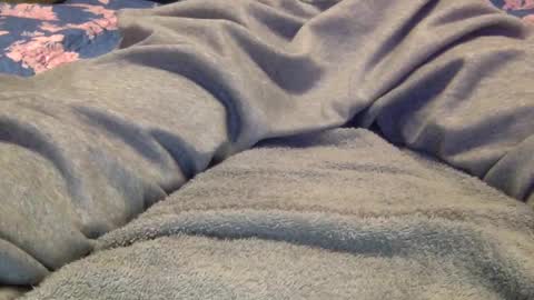 Snapshot of facedownassup219267 chatting on 25, 1, 2025 facedownassup219267 online show from 25, 1, 2025