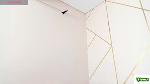 Snapshot of fantasy_33 chatting on 22, 1, 2025 fantasy online show from 22, 1, 2025