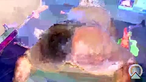 i like my pussy been toture online show from 4, 1, 2025