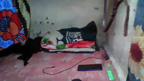 fazila online show from 18, 11, 2025