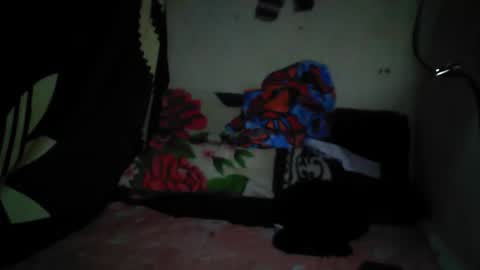 fazila online show from 20, 11, 2025