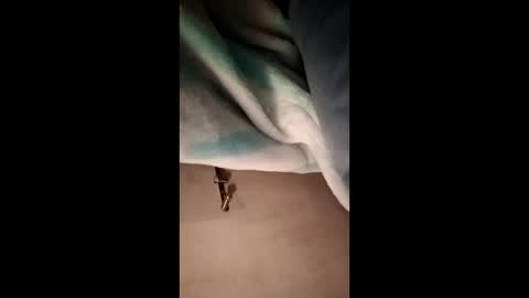 fcp27392194 online show from 7, 2, 2026