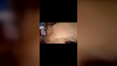 felinegoodcouple online show from 21, 2, 2026