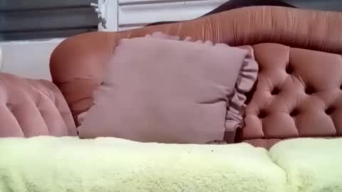 Feo.g online show from 16, 11, 2025