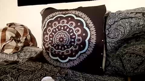 Snapshot of fezzyqt chatting on 19, 10, 2025 fezzyqt online show from 19, 10, 2025