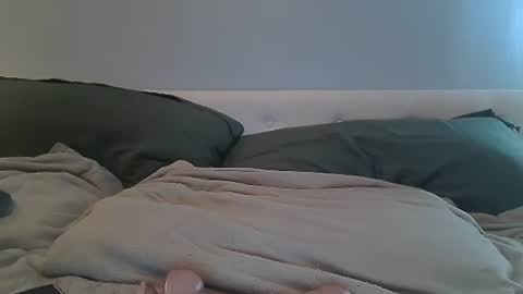 Horseman online show from 27, 10, 2025