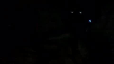 filippo online show from 14, 9, 2025