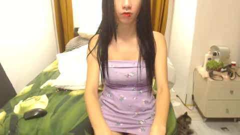 stephanie online show from 6, 3, 2025