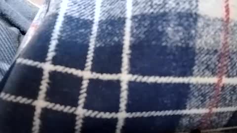 filthyskanktrollop online show from 6, 11, 2025