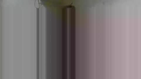 Snapshot of firsttime_freak chatting on 8, 2, 2026 FirstTimeFeak online show from 8, 2, 2026