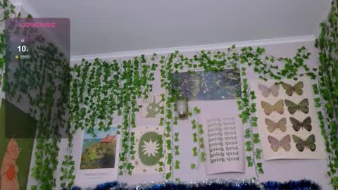 Ashle online show from 1, 2, 2026