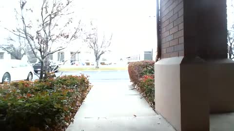 pain slut daren online show from 16, 12, 2024