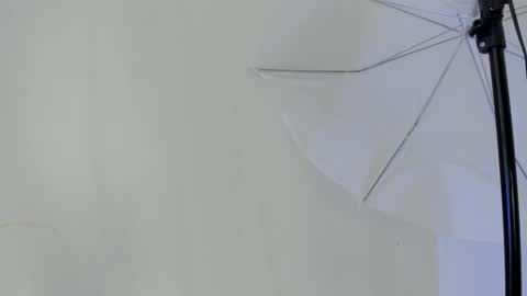 Flavia online show from 11, 1, 2026