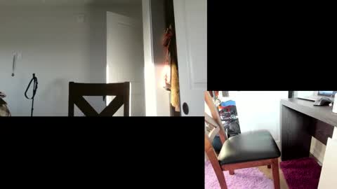 Snapshot of flexymodern chatting on 11, 3, 2025 Matt Masterson online show from 11, 3, 2025