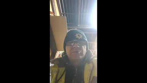 florincar online show from 5, 1, 2026