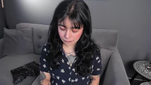 Its a pleasure to meet you. Im Flower. Help me reach 1k. Follow me. online show from 3, 12, 2025