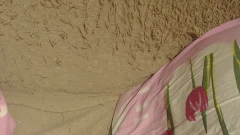 Snapshot of flowercandydoll chatting on 9, 12, 2024 say meow and send tip  online show from 9, 12, 2024