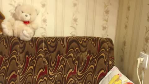 Snapshot of flowercandydoll chatting on 27, 2, 2025 say meow and send tip  online show from 27, 2, 2025