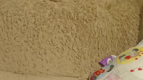 Snapshot of flowercandydoll13 chatting on 26, 12, 2024 say meow and send tip  online show from 26, 12, 2024