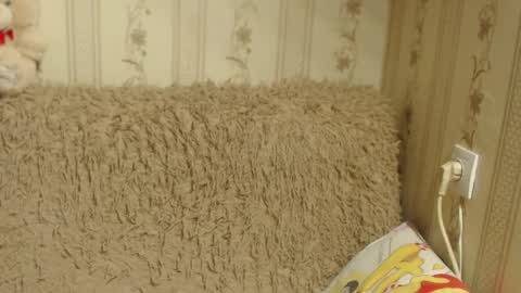 Snapshot of flowercandydoll13 chatting on 17, 1, 2025 say meow and send tip  online show from 17, 1, 2025