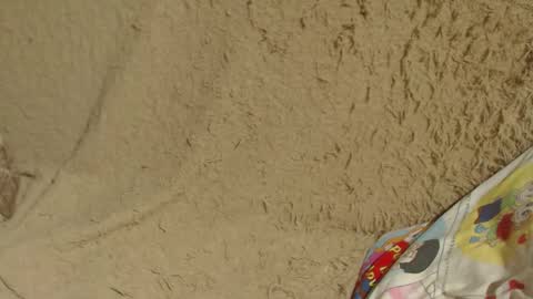 Snapshot of flowercandydoll13 chatting on 26, 1, 2025 say meow and send tip  online show from 26, 1, 2025