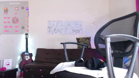 for_mycami online show from 19, 1, 2026