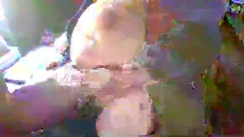 Terry Bangcock online show from 18, 1, 2025